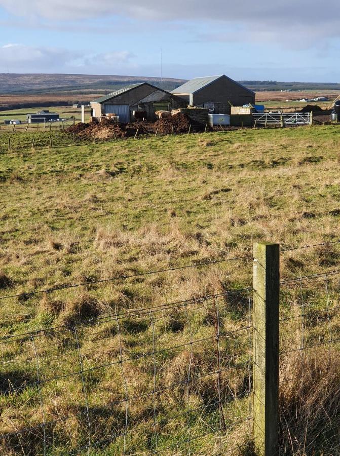Lybster Taigh An T'Saoir Bed & Breakfast المظهر الخارجي الصورة